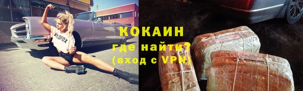 гашик Каменка