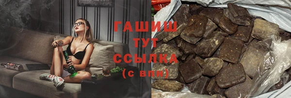 гашик Каменка
