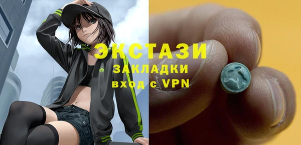 гашик Каменка