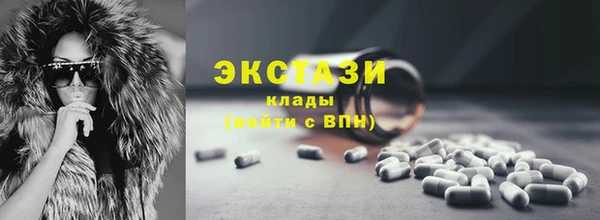 гашик Каменка