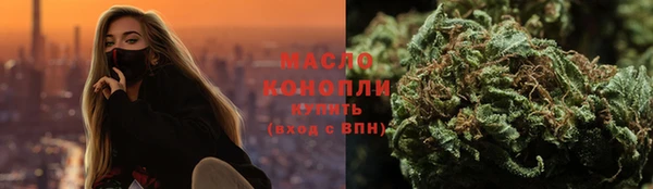 гашик Каменка