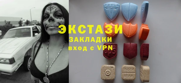 гашик Каменка