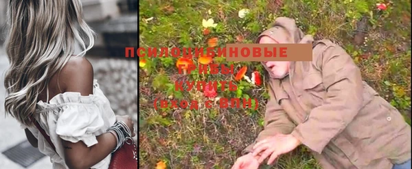 PSILOCYBIN Каменск-Шахтинский