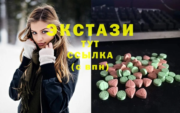 гашик Каменка