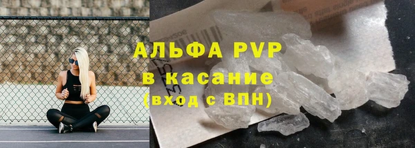 гашик Каменка