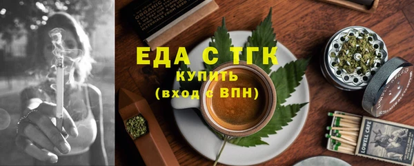 гашик Каменка