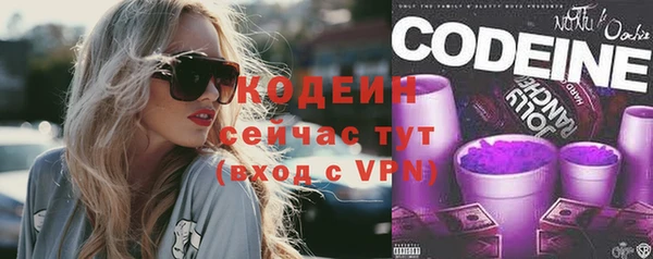 гашик Каменка