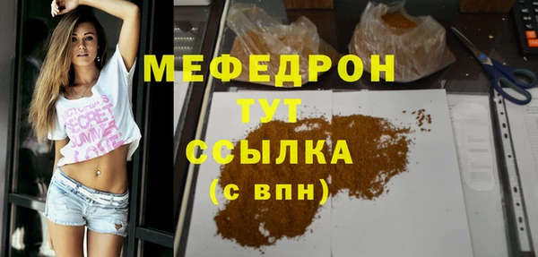 гашик Каменка
